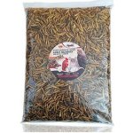 Apetit BLACK SOLDIER FLY LARVEA 0,5 kg – Hledejceny.cz