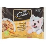 Cesar Selection v želé 4 x 100 g – Zboží Mobilmania