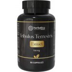 Herbatica Tribulus Terrestris 90% extrakt 90 kapslí – Hledejceny.cz