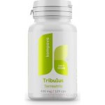 Tribulus terrestris 400 mg 120 kapslí – Hledejceny.cz
