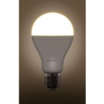 Retlux RLL 462 A67 E27 bulb 20W WW – Hledejceny.cz
