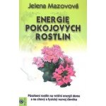 Energie pokojových rostlin – Hledejceny.cz