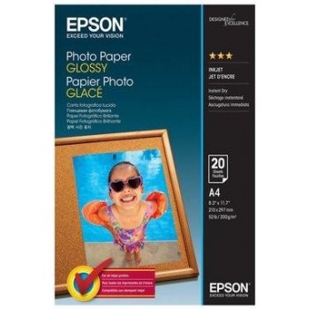 Epson C13S042539