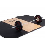 TRINFIT prýžové Bumper Plate Competition 25 kg 50 mm – Hledejceny.cz