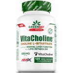 Amix GreenDay VitaCholine Choline L-bitartrate 120 vege kapslí – Hledejceny.cz