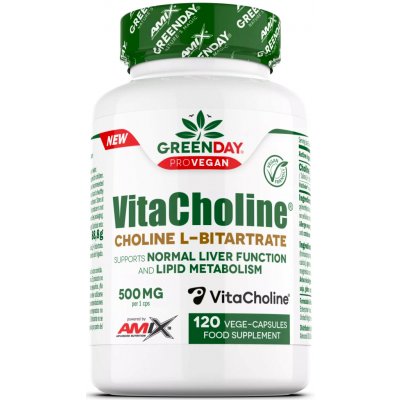 Amix GreenDay VitaCholine Choline L-bitartrate 120 vege kapslí – Hledejceny.cz