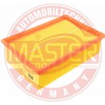 MASTER-SPORT Vzduchový filtr 251172LFPCSMS – Hledejceny.cz