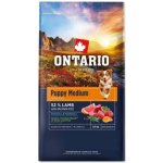 Ontario Puppy Medium Lamb & Brown Rice 6,5 kg – Hledejceny.cz