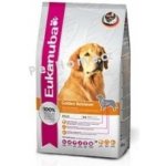 Eukanuba Golden Retriever 2 x 12 kg – Hledejceny.cz