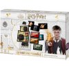 Desková hra Harry Potter Lektvary pro pokročilé - rodinná hra