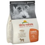 Almo Nature Holistic Maintenance XS-S s čerstvým jehněčím 2 kg – Hledejceny.cz