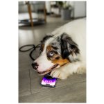 FIXED Armor ultra odolné sklo s aplikátorem pro Apple iPhone 14 Pro FIXGA-930-BK – Zboží Živě