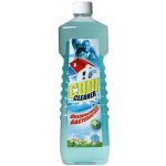 Finclub Codi Cleaner čistič s antibakteriální přísadou 1 l – Zbozi.Blesk.cz