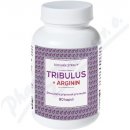 Naturvita Tribulus + Arginin 90 kapslí