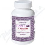 Naturvita Tribulus + Arginin 90 kapslí – Hledejceny.cz