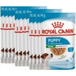 Royal Canin Mini Puppy 24 x 85 g – Sleviste.cz