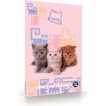 oxybag Desky na abecedu i číslice mazlíčci – Zboží Dáma