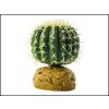 Hagen ExoTerra Barrel Cactus malý 9 cm