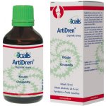 Joalis ArtiDren klouby 50 ml – Hledejceny.cz