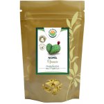 Salvia Paradise Nopál prášek 400 g – Hledejceny.cz