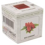 Scented Cubes vonný vosk do aroma lamp Red currant Červený rybíz 8 x 23 g – Hledejceny.cz