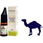 Dekang Silver DESERT SHIP 10 ml 6 mg – Hledejceny.cz