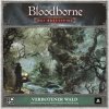 Desková hra CMON Bloodborne: The Board Game Forbidden Forest