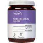 Vitaler's Kořen čajovníku 500 mg 60 kapslí – Hledejceny.cz
