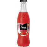 Cappy Jahoda vratné sklo 24 x 250 ml – Hledejceny.cz