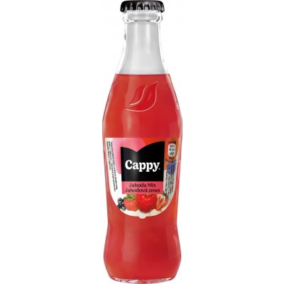 Cappy Jahoda vratné sklo 24 x 250 ml – Hledejceny.cz