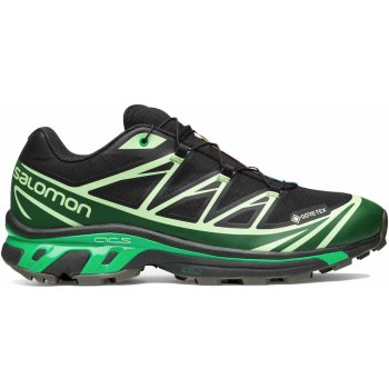 Salomon Advanced XT-6 Gore-Tex Eden Green Ash