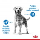 Royal Canin Medium Light Weight Care 3 kg