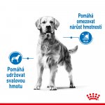 Royal Canin Medium Light Weight Care 3 kg – Zboží Mobilmania