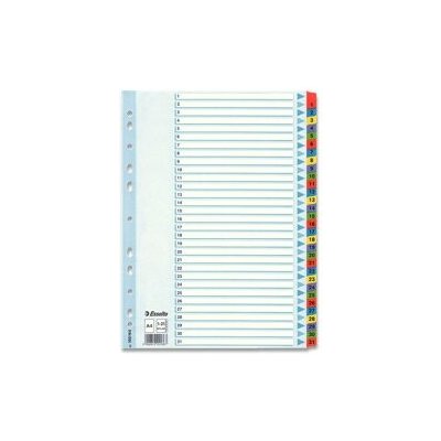 Esselte Mylar - kartonový rozlišovač - 31 listů – Sleviste.cz