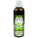 Naděje Pelargonie tinktura z bylin 50 ml