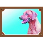 Dafiko Tabulka Rhodéský ridgeback – Sleviste.cz