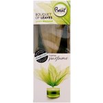 Brait květ dekorativní osvěžovač vzduchu green diamond 50 ml – HobbyKompas.cz Brait květ dekorativní osvěžovač vzduchu green diamond 50 ml – HobbyKompas.cz