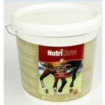 NutriHorse H 3 kg – Zboží Dáma