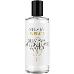 Steves No Bull***T Aftershave Water Šumava Voda po holení 100 ml – Hledejceny.cz