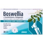 Favea Boswellia s chondroitinem a kolagenem 30 tablet – Hledejceny.cz