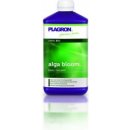 Hnojivo Plagron Alga Bloom 5 L