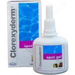 ICF Clorexyderm spot gel 100 ml – Zboží Mobilmania