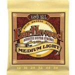 Ernie Ball 2004 – Sleviste.cz