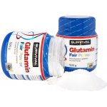 Survival Glutamin fair power 500 g – Hledejceny.cz