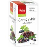 Apotheke Premier Černý rybíz a bezinky čaj 20 x 2 g – Sleviste.cz