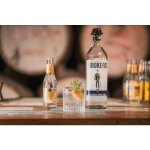 Gin jako stále přítomný trend aneb Gin vol.3 4.11.2026 - 1 osoba, Podpalubí Warehouse #1 Praha, 1-2 hod – Hledejceny.cz