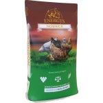 Energys Nosnice Gold 25 kg – Zboží Dáma