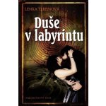 Duše v labyrintu – Hledejceny.cz