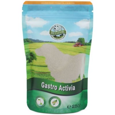 Bellfor Gastro Activia pro zdravou střevní mikroflóru 250 g – Hledejceny.cz