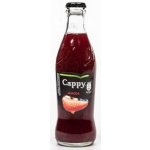 Cappy Jahoda vratné sklo 24 x 250 ml – Zboží Dáma